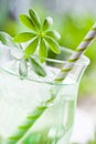 Woodruff punch Royalty Free Stock Photo