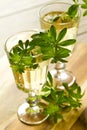 Woodruff Punch Royalty Free Stock Photo