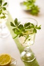 Woodruff Punch Royalty Free Stock Photo