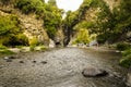 The woods around the Alcantara gorge are actually quite small, but this scenic site,on the Alcantara River