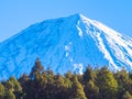 Woods and beautiful snowcapped Mount Fuji blue sky