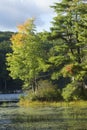 Woods at Breakneck Pond in early fall foliage in Connecticut. Royalty Free Stock Photo