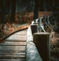 The woods bridge forest on beautiful spring Royalty Free Stock Photo