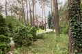 Woods with bushes and trees with an english style house in the background Royalty Free Stock Photo