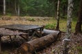 in the woods in a clearing table and logs like a bench, a forest picnic Royalty Free Stock Photo