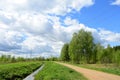 The woods Creek trail, the road. Village. Deciduous trees, young foliage and grass. Cloudy sky Royalty Free Stock Photo