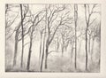 Woods etching