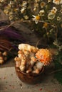 Magic fairytale party table decor, mushroom with confectionary in cup on wooden background, poison toxic food, halloween holiday.