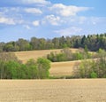 Woods and fields on a hills