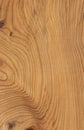 Yew Wood tree pattern samples natural rural timber