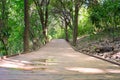 Woods pathway to amazing view from beach