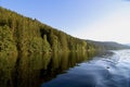 Woods Reflections in Titisee Royalty Free Stock Photo