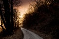 Woods road at sunset Royalty Free Stock Photo