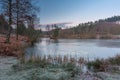 Cannock Chase, AONB in Staffordshire Royalty Free Stock Photo