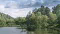 Cannock Chase AONB in Staffordshire