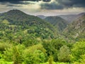 Woods at Sierra de Penamayor, Nava, Asturias, Spain