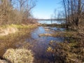 Woods and wetland open to beautiful early Spring lake