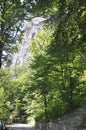 Woodscape at Baile Herculane Resort in Romania