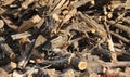 Woodshed with many pieces of wood ready to be burned to keep war