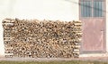 woodshed with many pieces of wood for the winter