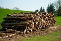 Woodstack Royalty Free Stock Photo