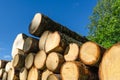 Woodstack by a blue sky