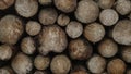 Woodstack dark moody structured natural forest background Royalty Free Stock Photo
