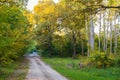 Dirt road in autumn forest Royalty Free Stock Photo