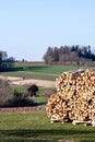 Woodstack packed into handy portions Royalty Free Stock Photo