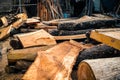 A woodworking workshop with freshly cut teak logs and timber slabs 3 Royalty Free Stock Photo
