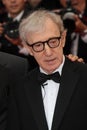 Woody Allen Royalty Free Stock Photo