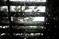 Woody stairs, rain drops, trees bokeh