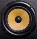 Woofer Royalty Free Stock Photo