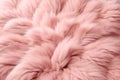Wool Backgrounds Texture, Closeup of Natural Soft Romantic Pastel Pink Animal Fluffy Fur Background