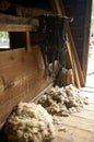 Wool in a barn