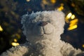 Wool bear snow footage gold bokeh