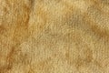 Wool brown fur texture background Royalty Free Stock Photo