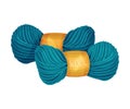 Wool or Crewel as Needlework Tool Vector Illustration Royalty Free Stock Photo