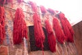 wool dyeing souk marrakech morocco Royalty Free Stock Photo