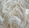 Wool fleece background