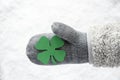 Wool Glove With Green Four Leaf Clover, Snow
