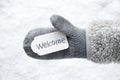 Wool Glove, Label, Snow, Text Welcome