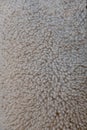 wool or fur background Royalty Free Stock Photo