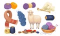 Wool knitting concept set