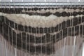 Wool Loom Weaving Royalty Free Stock Photo