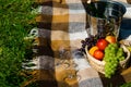 Wool plaid lies on the grass, picnic laid fruit and wine