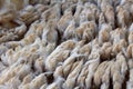 Wool sheared Royalty Free Stock Photo