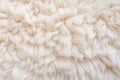 Wool texture sheep. Generate Ai Royalty Free Stock Photo