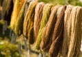 Wool threads colored with natural colorants