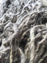 Wool yarn hank Royalty Free Stock Photo
